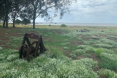 Half Day St. Helena Island Tour - Holiday Byron Bay 1