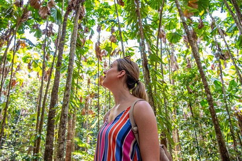 5 Day Australia Retreat: Queensland Daintree - Holiday Byron Bay 3