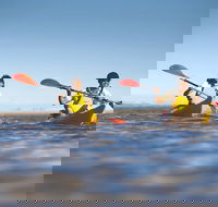 Kangaroo Island Self-Guided Kayaking on the Harriet River - Holiday Byron Bay