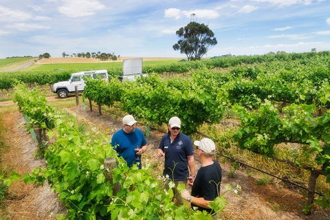 Two Hands Wines \'Single Vineyards Experience\' - Holiday Byron Bay 1