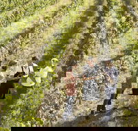 Beyond The Velvet Rope - Behind the Scenes Tour - Holiday Byron Bay