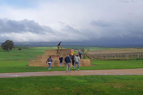 Private Wine Tour - Holiday Byron Bay 4