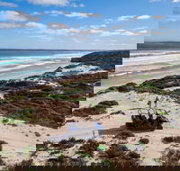 Small-Group Buggy Tour at Little Sahara with Guide - Holiday Byron Bay