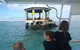 Sailing Cruise With Seals - thumb 0