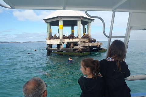 Sailing Cruise With Seals - Holiday Byron Bay 0