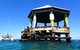 Sailing Cruise With Seals - thumb 1