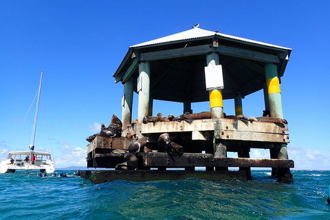 Sailing Cruise With Seals - Holiday Byron Bay 1