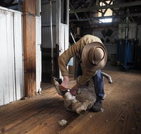 Sovereign Hill Heritage Sheep Farm Experience and Ballarat Gold Rush Day Tour from Melbourne - Holiday Byron Bay