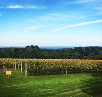 Mornington Peninsula Private Car Winery Tour.1-7 People One Car Price. - Holiday Byron Bay