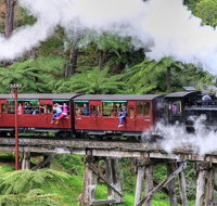 Puffing Billy And Healesville Sanctuary Scenic Tour - Holiday Byron Bay