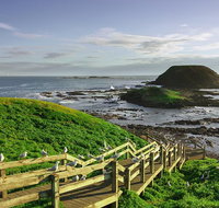Full-Day Guided Australian Wildlife Tour of Phillip Island - Holiday Byron Bay