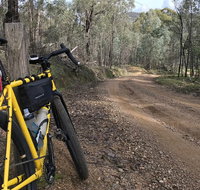 Gold n Gravel  Full Day Beechworth Gravel Cycling Tour - Holiday Byron Bay