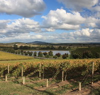 LGBT Friendly Full Day Yarra Valley  Dandenong Ranges Private Tour - Holiday Byron Bay