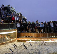 LGBT Friendly Full Day Phillip Island Private Tour - Holiday Byron Bay