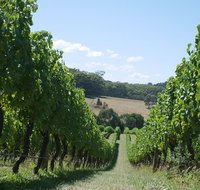 Private winery tour - Holiday Byron Bay