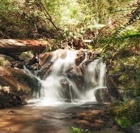 Discover Tour Dandenong Ranges  William Ricketts Sanctuary - Holiday Byron Bay