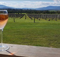 Yarra Valley 7 Hours Guided Wine Tour with 2-Course Lunch - Holiday Byron Bay