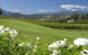 1H Yarra Valley Discover Vineyard Experience Segway Tour - thumb 4