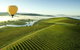 1H Yarra Valley Discover Vineyard Experience Segway Tour - thumb 3