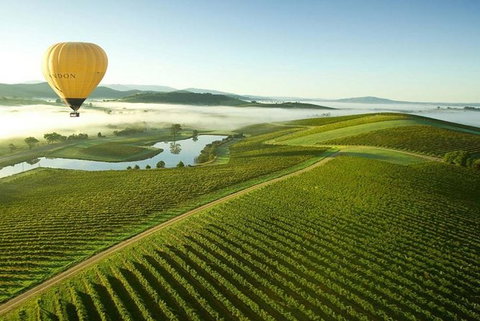 1H Yarra Valley Discover Vineyard Experience Segway Tour - Holiday Byron Bay 3