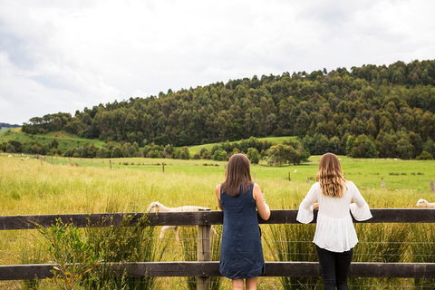 Foodie, Farm Gate & Wine Trail - Gourmet Gippsland From Melbourne - Holiday Byron Bay 10