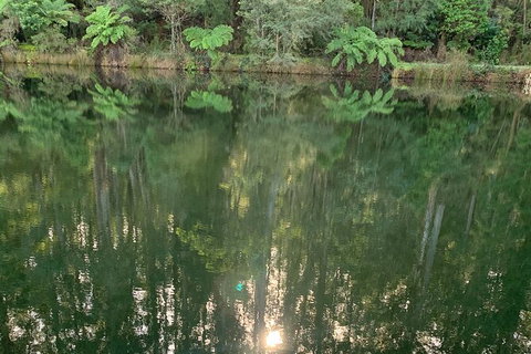 Hiking Tour To Aqueduct And Warburton Valley Lookout - Holiday Byron Bay 2