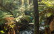Hiking Tour To Aqueduct And Warburton Valley Lookout - thumb 3