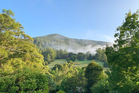 Hiking Tour To Aqueduct And Warburton Valley Lookout - Holiday Byron Bay 0