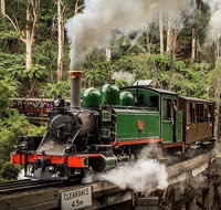 Small Group - Dandenong Ranges Puffing Billy  Healesville Sanctuary Day Tour - Holiday Byron Bay