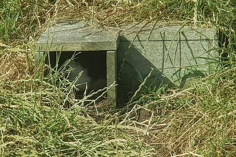 Phillip Island Penguin And Wildlife Tour - Holiday Byron Bay 11