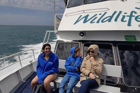 Phillip Island Penguin And Wildlife Tour - Holiday Byron Bay 15