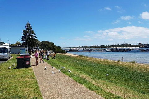 Phillip Island Penguin And Wildlife Tour - Holiday Byron Bay 25