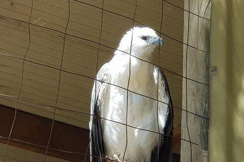 Phillip Island Penguin And Wildlife Tour - Holiday Byron Bay 21