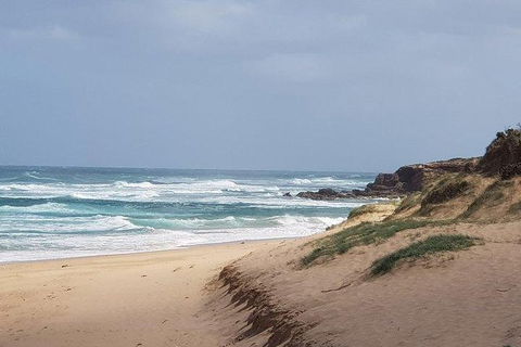 Phillip Island Penguin And Wildlife Tour - Holiday Byron Bay 10