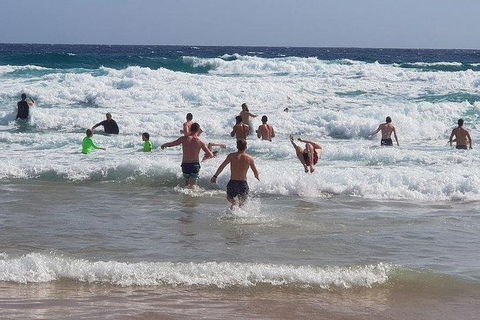 Phillip Island Penguin And Wildlife Tour - Holiday Byron Bay 18