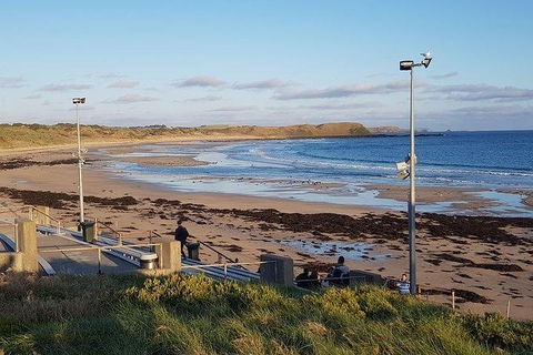 Phillip Island Penguin And Wildlife Tour - Holiday Byron Bay 8