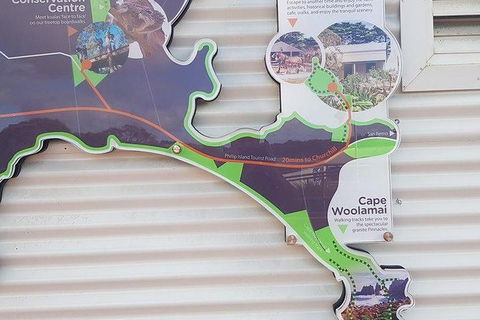 Phillip Island Penguin And Wildlife Tour - Holiday Byron Bay 29