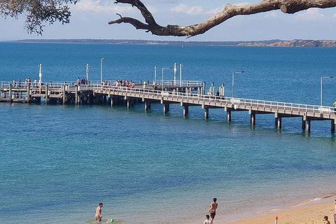 Phillip Island Penguin And Wildlife Tour - Holiday Byron Bay 2