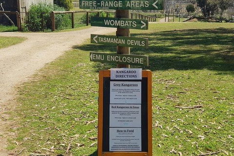 Phillip Island Penguin And Wildlife Tour - Holiday Byron Bay 4