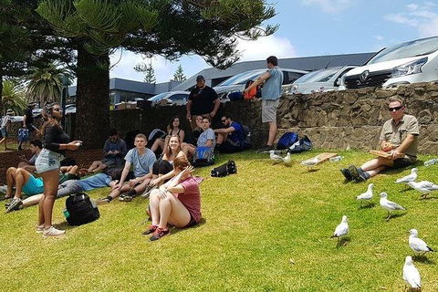 Phillip Island Penguin And Wildlife Tour - Holiday Byron Bay 22