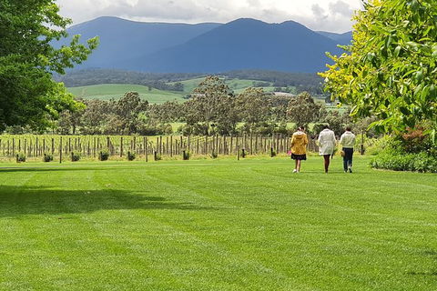 Yarra Valley Wine Tasting Day Tour From Melbourne - Holiday Byron Bay 6
