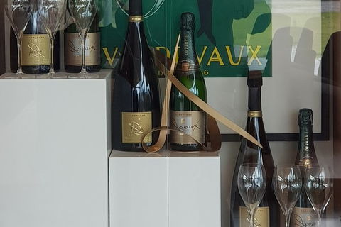 Yarra Valley Wine Tasting Day Tour From Melbourne - Holiday Byron Bay 2