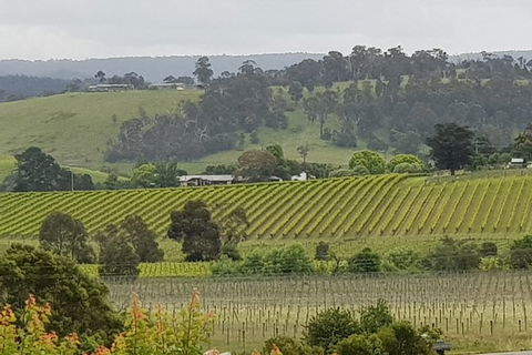 Yarra Valley Wine Tasting Day Tour From Melbourne - Holiday Byron Bay 0