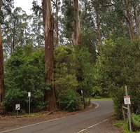 Full-Day Dandenong Ranges Tour with Pickup from Melbourne - Holiday Byron Bay