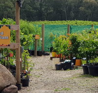 Yarra Valley Wineries and Rayners Orchard Tour from Melbourne - Holiday Byron Bay