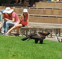 Healesville Sanctuary and Rayners Orchard Tour from Melbourne - Holiday Byron Bay