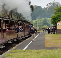 Day Tour of Yarra Valley Puffing Billy and Rayners Orchard - Holiday Byron Bay