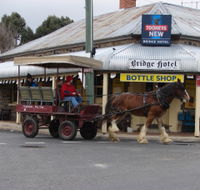 Bathurst Farm Experience
