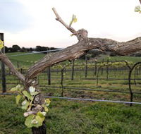 Nalbra Estate Wines