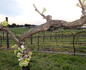 Nalbra Estate Wines - Holiday Byron Bay 0